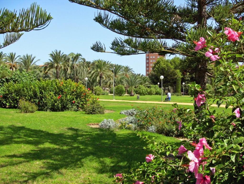Ferienwohnung 30-3- Бюджетная Комната В Квартире Для 2 Человека, Alicante Exterior foto